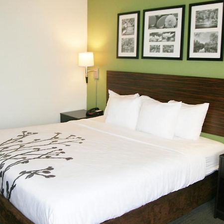 Sleep Inn & Suites Stony Creek - Petersburg South Экстерьер фото